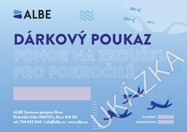 Ponor Na Zkoušku V Bazénu Forma Poukazu: Digitální