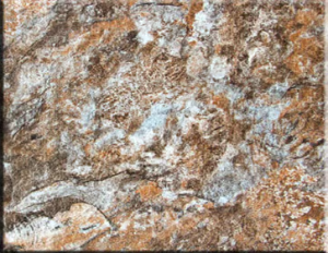 Vagnerpool F&oacute;lie Alkorplan Touch - Authentic